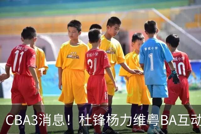 CBA3消息！杜锋杨力维粤BA互动，余嘉豪重返CBA，广厦超市开张？